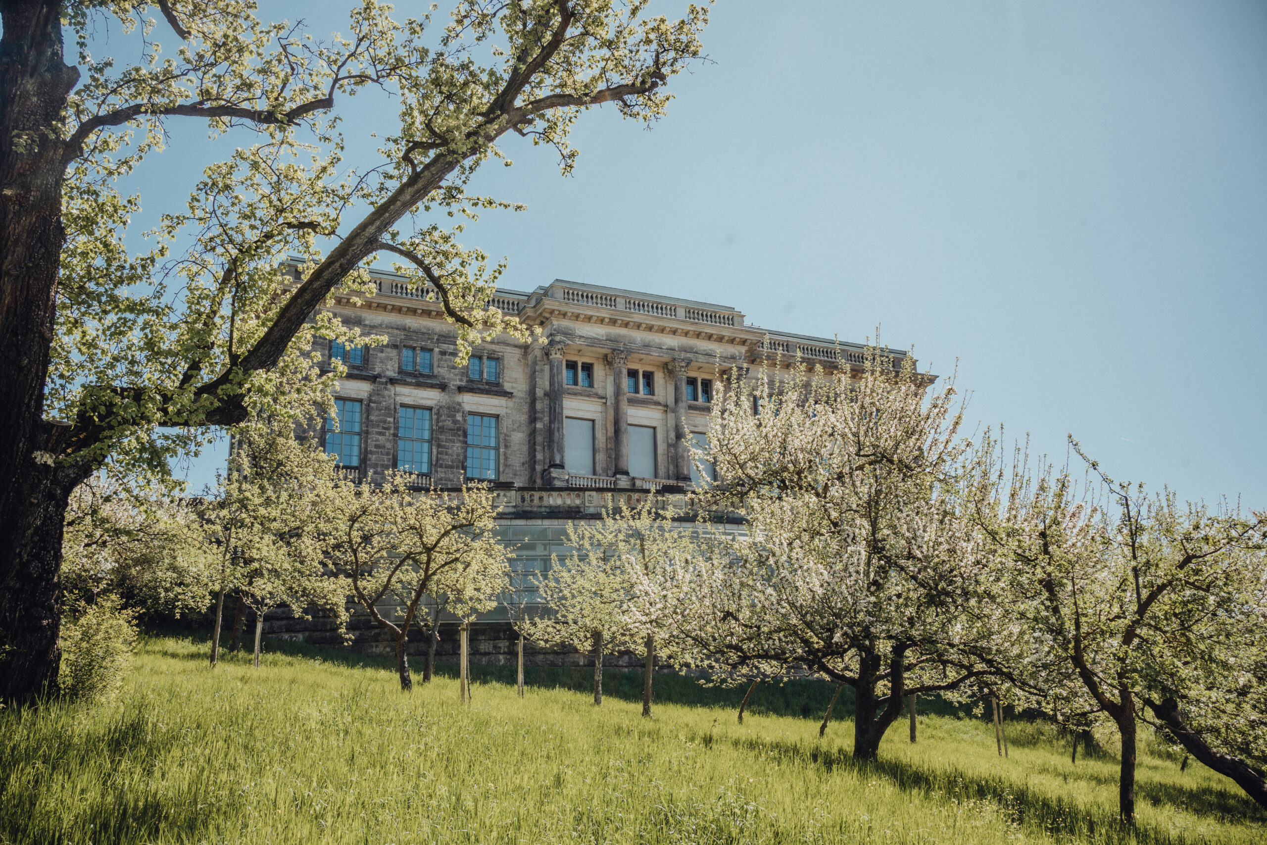Spaziergang durch Weimars Ilmpark