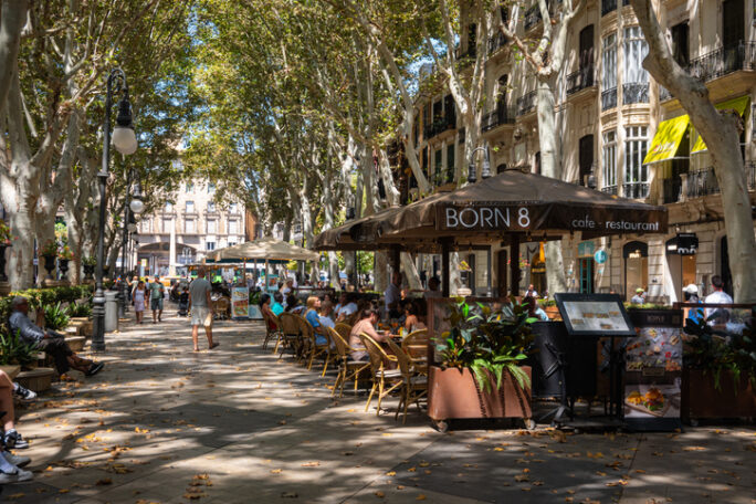 Fußgängerzone mit Baumallee und vielen Restaurants und Cafés in Palma de Mallorca